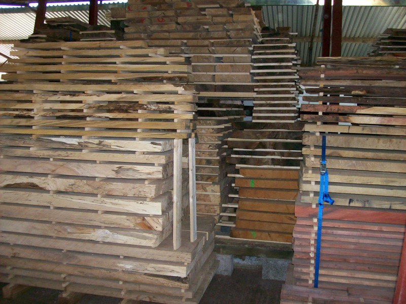 A collection of five different air dried timbers including, yew, cedar, sycamore